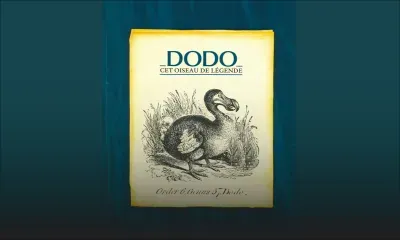 Histoire de Maurice - Disparition du dodo : Alan Grihaut rétablit les faits