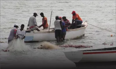 Les entreprises étrangères autorisées à pêcher dans les eaux mauriciennes : le Syndicat des pêcheurs monte au créneau
