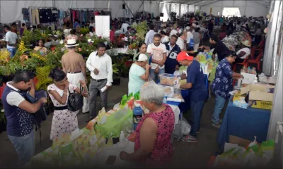 Global Entrepreneurship Week : une semaine d’activités pour les PME