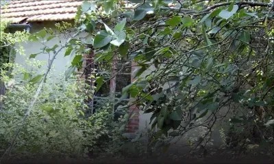Terrain voisin laissé à l’abandon : les galères d’une Portlouisienne de 85 ans