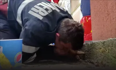 Un pompier fait du bouche-à-bouche à un chien pour le sauver