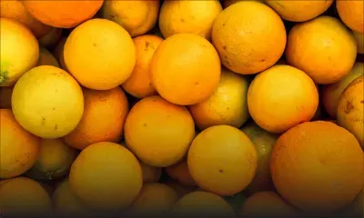 Licencié à quelques jours de Noël pour une boîte d’oranges