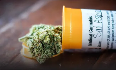 Cannabis médical : les travaux débutent ce mardi