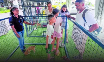 Adoption animale : la MSAW et Zoomania clôturent l’année à Bagatelle