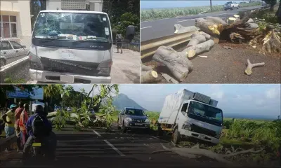 [Vidéo] Cascavelle : un arbre tombe sur un camion