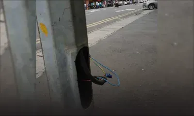 Photo du jour : Attention !