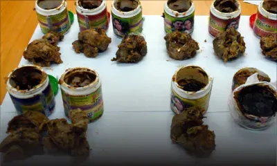 Rs 8 millions de haschisch dans des pochettes de savon : le contact local recherché à travers son cellulaire