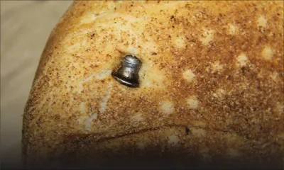 Ste-Croix : un rivet à tête ronde dans un pain