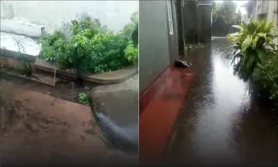 À Castel : une fosse septique déborde à cause des eaux de pluie