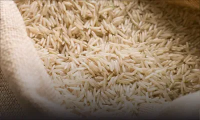 Consommation : le riz basmati coûtera plus cher