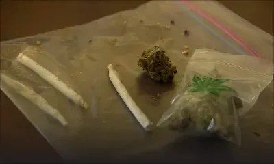  Possession de cannabis : trois suspects dont un gardien de prison et un policier arrêtés