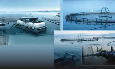 Économie bleue: mettre Maurice sur la carte mondiale de l’aquaculture