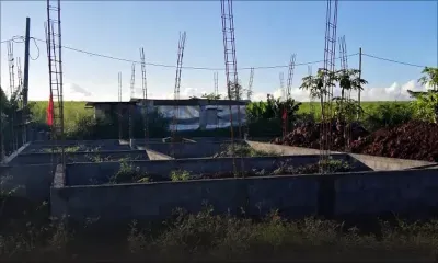 Bois Mangue : des habitants s’opposent à la construction d’une boutique