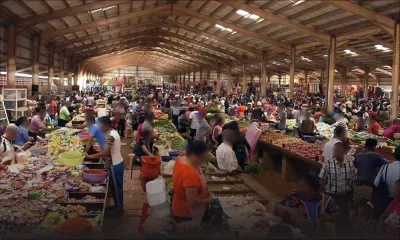 À Rose-Belle : des maraîchers ne respectent pas les lois