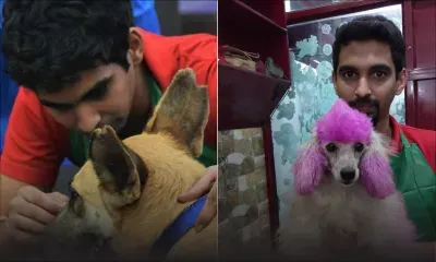 Scoopy Scrub : beauté et bien-être pour vos animaux