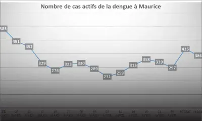 Épidémie de fièvre dengue : 300 nouveaux cas chaque semaine 