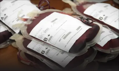 Don de sang: 836 pintes détruites en 2015