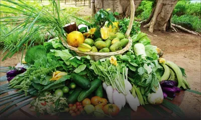 Budget 2018-19 - food security : several important measures announced
