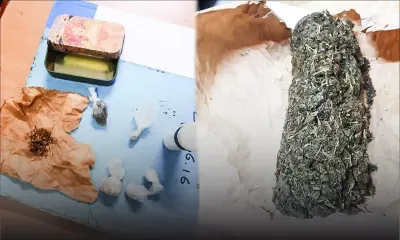 Perquisition dans le Sud : la police saisit du gandia au Bouchon