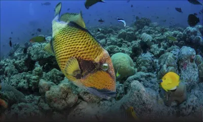 Budget 2018-19 - ocean economy : bold measures to maximise the ocean’s capacity