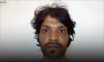 Un voleur de tortue arrêté à Plaine-Verte