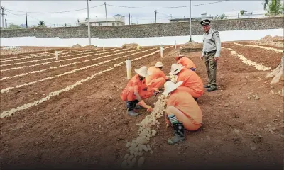 L’employabilité des anciens détenus, une priorité pour lutter contre la récidive