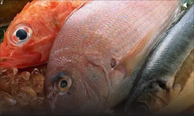 Consommation: poisson et viande plus chers, légumes et riz à meilleur marché