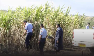 Une femme décapitée à St-François, Petit-Raffray: un homme dont l’épouse est portée manquante interrogé
