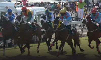 Dommages : SMS Pariaz Ltd réclame Rs 66,9 M au MTC