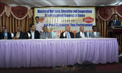 Agro-industrie : 600 arpents alloués aux planteurs de thé