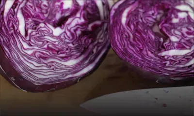 Chou rouge: pas seulement pour des salades !