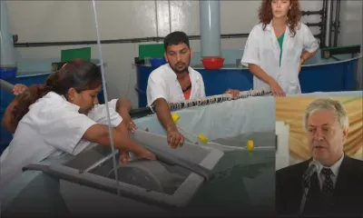 Evert Liewes: «C’est le moment de faire croître l’industrie de la pêche»