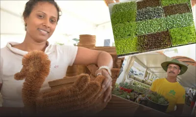Salon de l’Agriculture : Faire le plein de bonnes affaires