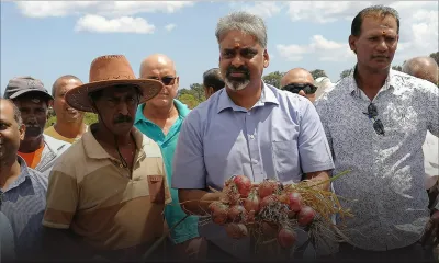 Maneesh Gobin : «San prodiksyon lokal, nou pou mor de faim»