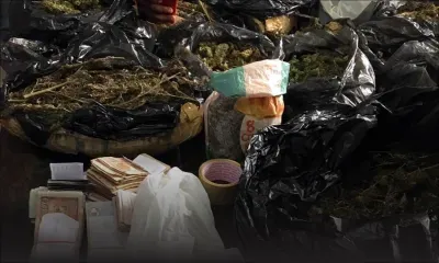 Saisie de Rs 9 M de cannabis : une première arrestation effectuée