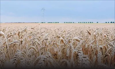 Inflation alimentaire annuelle : la Banque mondiale dresse un bilan inquiétant