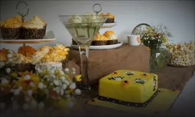 Ayrece Stewart: des ‘Baby Shower’ pour futures mamans