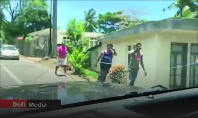 Un couple allemand malmené à Baie-du-Cap : trois jeunes arrêtés 