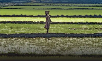 Travail : le secteur informel emploie 12% de la main-d’œuvre locale