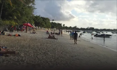 Alerte aux méduses sur la plage de Trou-aux-Biches et Mont-Choisy