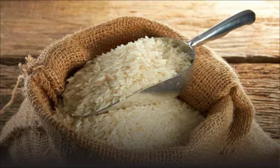 Production locale - Riz : 250 tonnes attendues en 2017