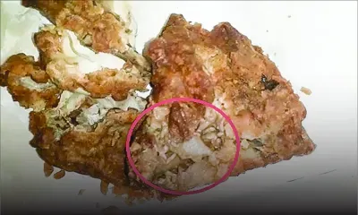 Fast-food : des asticots trouvés dans du poulet