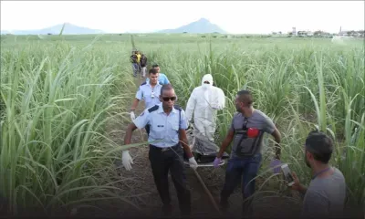 Bambous : le cadavre d’une femme découvert dans un champ de canne 