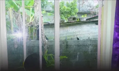 Le conseil de district de Moka : «On ne peut pas intervenir s’il y a moins de 20 bêtes dans l’étable»