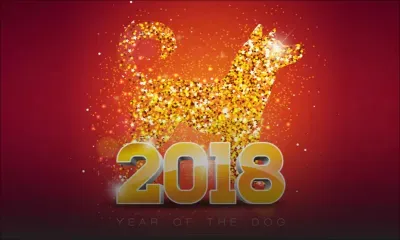 L'année du Chien de terre : quelle influence sur votre signe?