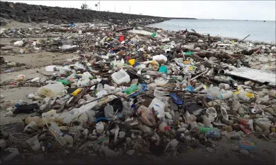 Post-Berguitta : 33 plages défigurées