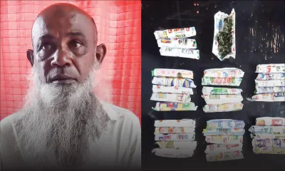 Trafic de cannabis présumé : un planteur de Midlands récidive