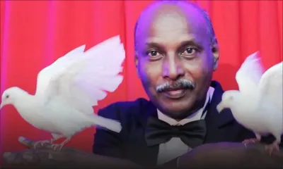 À Camp-Levieux: trois récidivistes accusés d’avoir volé les oiseaux d’un magicien