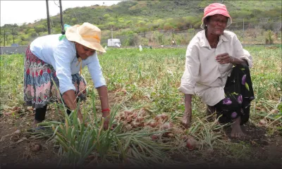 Coopératives : des mesures introduites pour rajeunir le secteur