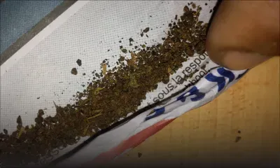 Interdiction de la cigarette en prison  : des détenus fument des feuilles sèches et du thé